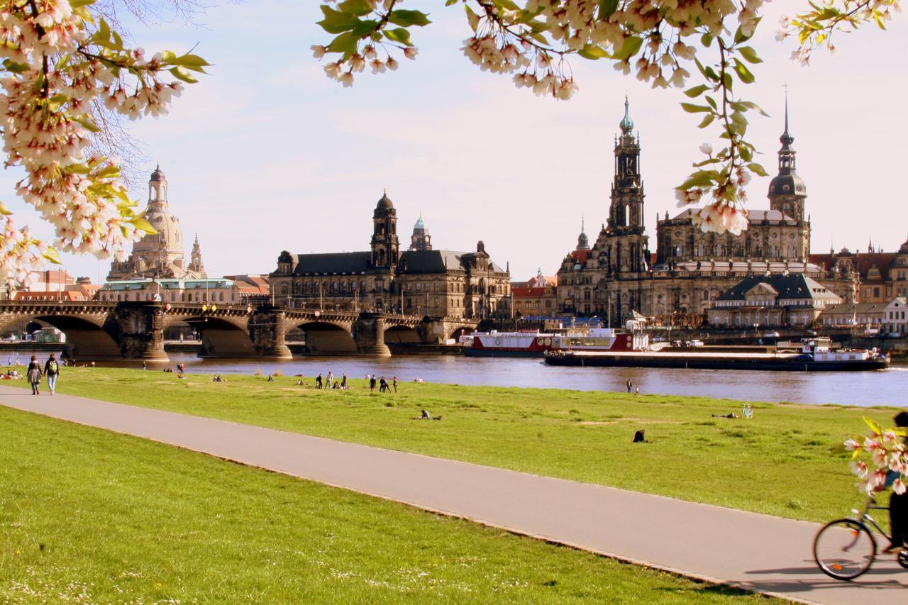 Akademiehotel Dresden Exteriör bild